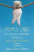 Promise Land A Journey Through Americas Euphoric Soul Sucking Emancipating Hornswoggling & Irrepressible Self Help Culture