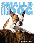 Small Dog Big Dog