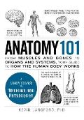 Anatomy 101 From Muscles & Bones to Organs & Systems Your Guide to How the Human Body Works