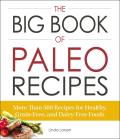 Big Book of Paleo Recipes More Than 500 Recipes for Healthy Grain Free & Dairy Free Foods