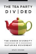 The Tea Party Divided: The Hidden Diversity of a Maturing Movement