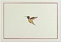 Note Card Hummingbird Flight