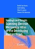 Steding's and Vir?gh's Scanning Electron Microscopy Atlas of the Developing Human Heart