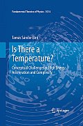 Is There a Temperature?: Conceptual Challenges at High Energy, Acceleration and Complexity