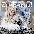 Zooborns!: Zoo Babies from Around the World