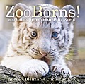 ZooBorns Zoo Babies from Around the World