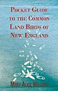Pocket Guide to the Common Land Birds of New England