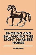 Shoeing And Balancing The Light Harness Horse