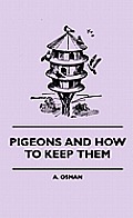 Pigeons and How to Keep Them