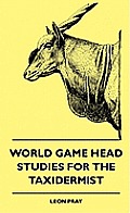 World Game Head Studies For The Taxidermist