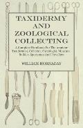 Taxidermy and Zoological Collecting - A Complete Handbook for the Amateur Taxidermist, Collector, Osteologist, Museum-Builder, Sportsman and Traveller