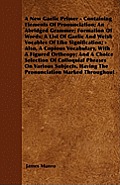 A New Gaelic Primer - Containing Elements Of Pronunciation; An Abridged Grammer; Formation Of Words; A List Of Gaelic And Welsh Vocables Of Like Signi
