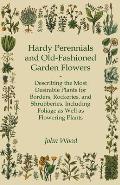 Hardy Perennials and Old-Fashioned Garden Flowers;Describing the Most Desirable Plants for Borders, Rockeries, and Shrubberies, Including Foliage as W
