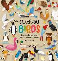 Stitch 50 Birds Easy sewing patterns for felt feathered friends