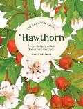 The Little Wild Library: Hawthorn: Simple Things to Do with the Plants Around You.