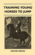 Training Young Horses To Jump