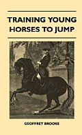 Training Young Horses To Jump