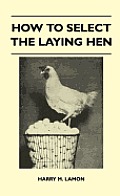 How To Select The Laying Hen