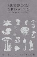 Mushroom Growing - A Practical Manual