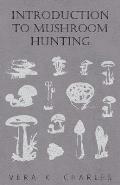 Introduction to Mushroom Hunting