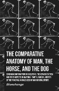 The Comparative Anatomy of Man, the Horse, and the Dog - Containing Information on Skeletons, the Nervous System and Other Aspects of Anatomy: Part IV