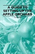 A Guide to Setting Up the Apple Orchard