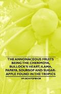 The Annonaceous Fruits Being the Cherimoya, Bullock's Heart, Ilama, Papaya, Soursop and Sugar-Apple Found in the Tropics