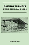 Raising Turkeys - Ducks, Geese, Game Birds