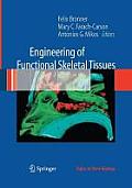 Engineering of Functional Skeletal Tissues