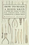 How to Make a Bird Skin - A Step by Step Guide to Prepare and Preserve a Bird Skin