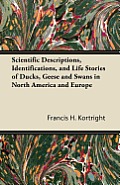 Scientific Descriptions, Identifications, and Life Stories of Ducks, Geese and Swans in North America and Europe