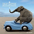 Gray Matter Why Its Good to Be Old