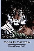 Tiger in the Rain