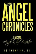 The Angel Chronicles: Book One: Angel in the Darkness