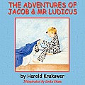 The Adventures of Jacob & MR Ludicus