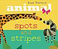 Animal Spots & Stripes