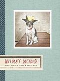 Wilmas World Good Advice from a Good Dog