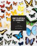 Encyclopedia of Rainbows Notes: 20 Different Notecards & Envelopes