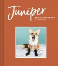 Juniper The Happiest Fox