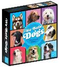 We Rate Dogs the Card Game For 3 6 Players Ages 8+ Fast Paced Card Game Where Good Dogs Compete to Be the Very Best Based on Wildly Popular @w