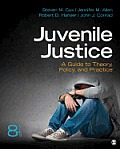 Juvenile Justice A Guide To Theory Policy & Practice