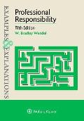 Professional Responsibility Examples & Explanations