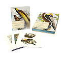 Extraordinary Birds Essays & Plates of Rare Book Selections from the American Museum of Natural History Library