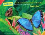 How Does a Caterpillar Become a Butterfly & Other Questions about Butterflies