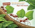 How Strong Is an Ant?: And Other Questions About... Bugs and Insects