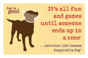 Dog Is Good Its All Fun & Games Until Someone Ends Up in a Cone & Other Life Lessons Inspired by Dog