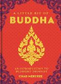 Little Bit of Buddha An Introduction to Buddhist Thought