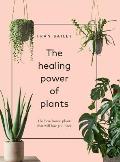 The Healing Power of Plants: The Hero Houseplants That Will Love You Back