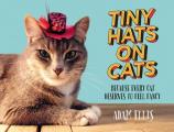 Tiny Hats on Cats Because Every Cat Deserves to Feel Fancy