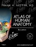 Atlas Of Human Anatomy 6th Edition Including Student Consult Interactive Ancillaries & Guides